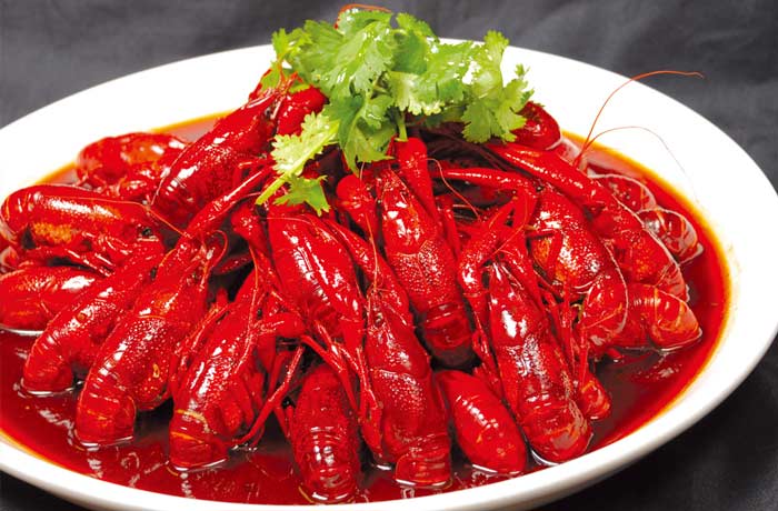 镇平麻辣小龙虾培训